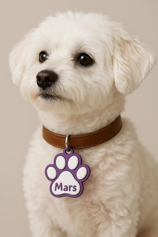 NFC Pet ID Tag Keyring